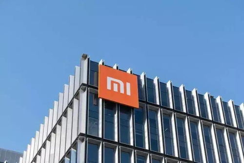 雷军“All in”造车 软件定义汽车时代的关键布局