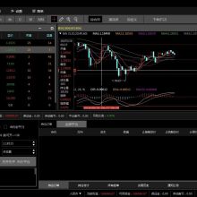 天狼盛世软件开发公司 引领数字化时代的创新力量